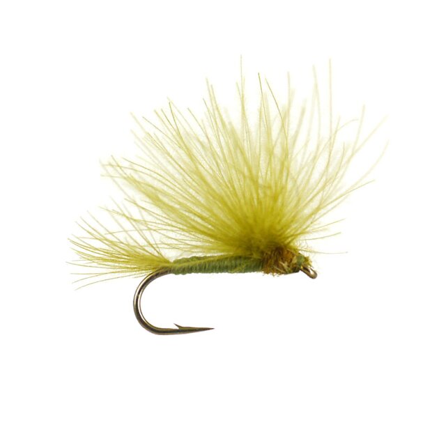 CDC Splitwing Olive 12