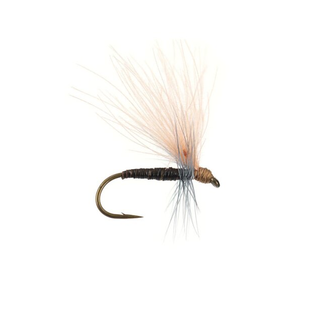 Olive Quill CDC - Tan