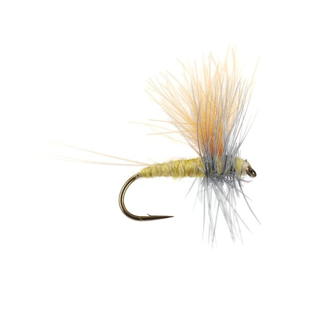 Olive Dun Cut Thorax - Pale Olive 16