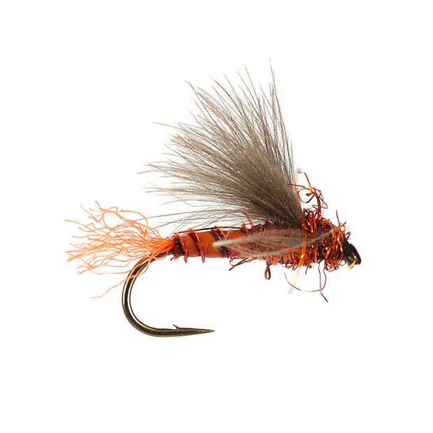 G6 Grayling Sedge - Orange Tail  14