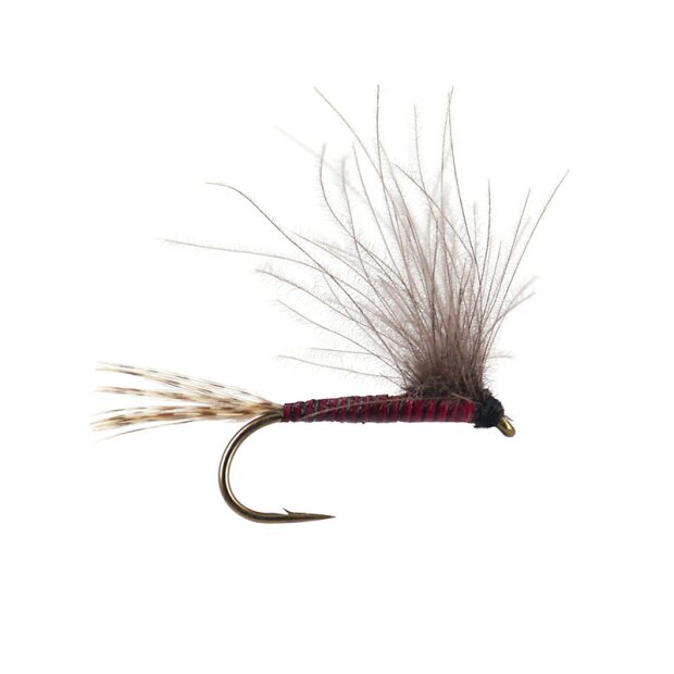 CDC BWO - Red