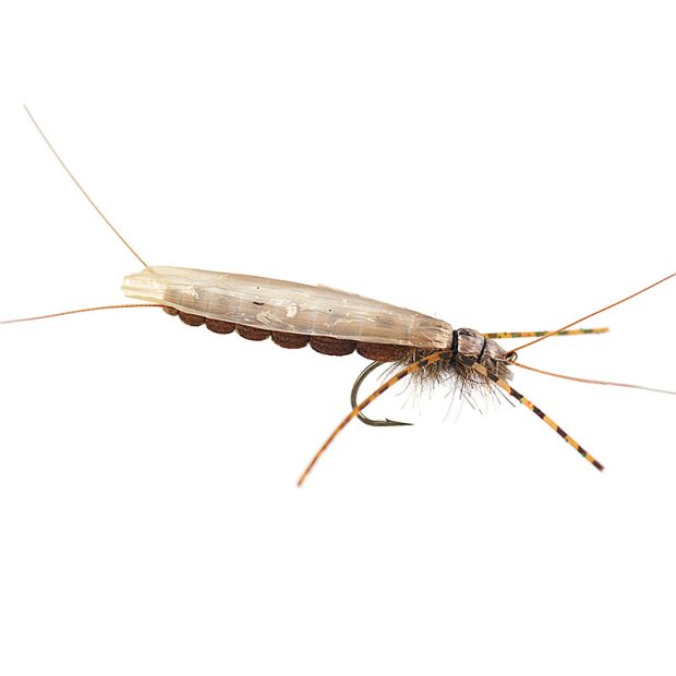 Large Realistic Brown Stonefly 8