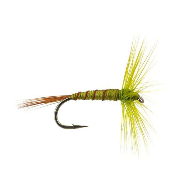 French PL Olive Ribbed 14