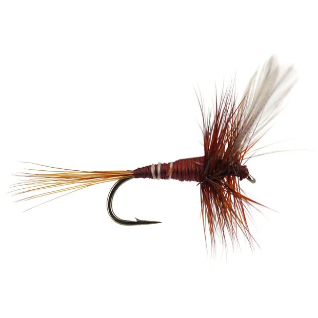 French PL Brown Winged 14