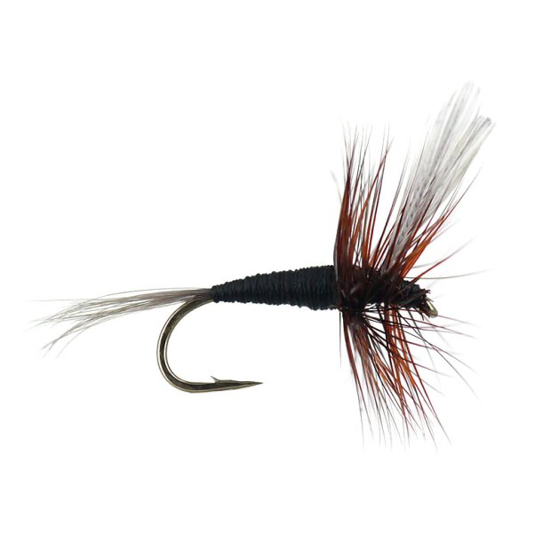 French PL Black Winged 14