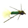 Olive Leg Dragonfly Nymph 6
