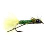 Olive Leg Dragonfly Nymph 6