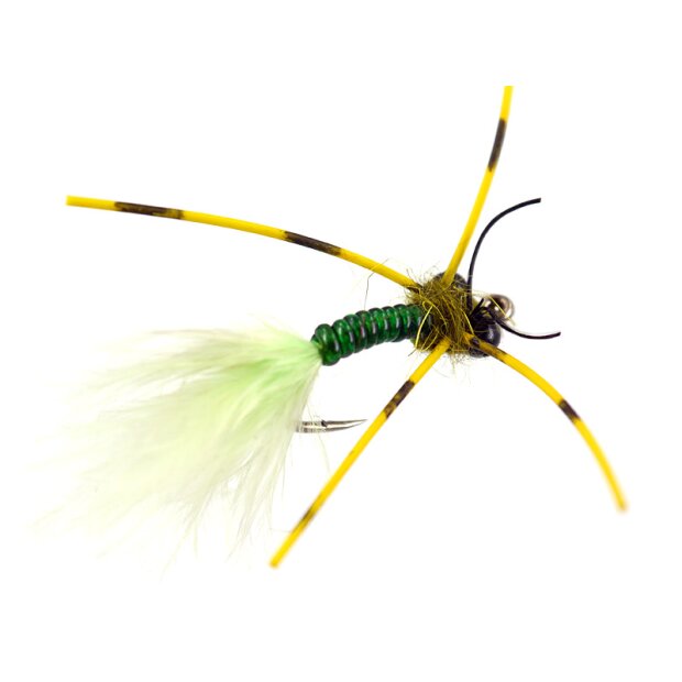 Slim Olive Barred Leg Dragonfly Nymph 4
