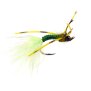 Slim Olive Barred Leg Dragonfly Nymph 4