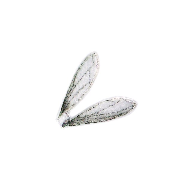 X-TRUE TERRESTRIAL WINGS hotfly - 10 pc. - S (11 mm) - grey