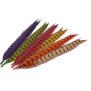 PHEASANT TAIL FEATHER 1° CLASS hotfly - 1 pc. - ca. 50 cm