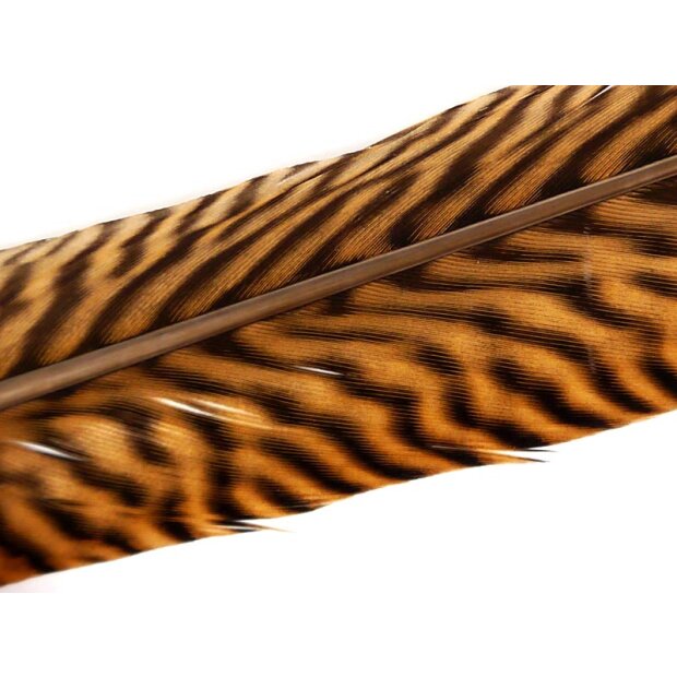 GOLDEN PHEASANT TAIL FEATHER 1° CLASS hotfly - 1 pc. - ca. 60 cm