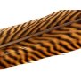 GOLDEN PHEASANT TAIL FEATHER 1° CLASS hotfly - 1 pc. - ca. 60 cm