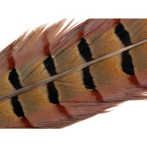 PHEASANT TAIL FEATHER 1° CLASS hotfly - 1 pc. - ca. 40 cm - natural