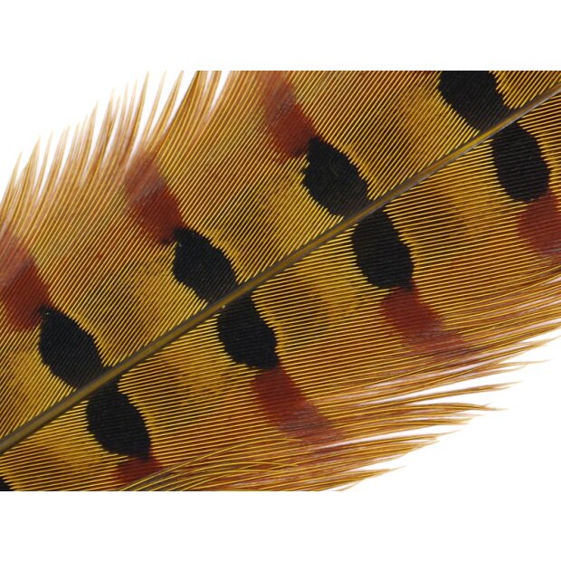 PHEASANT TAIL FEATHER 1° CLASS hotfly - 1 pc. - ca. 50 cm - yellow