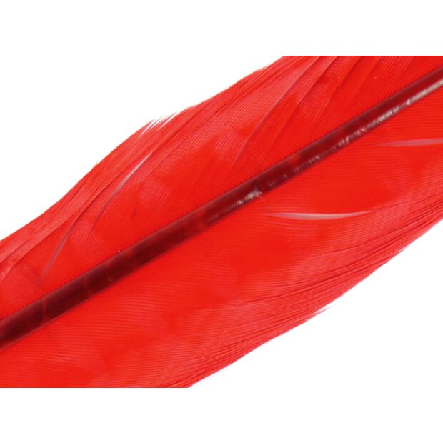 FASANENSTOSSFEDER BLEACHY 1° WAHL hotfly - 1 Stk. - ca. 50 cm - red