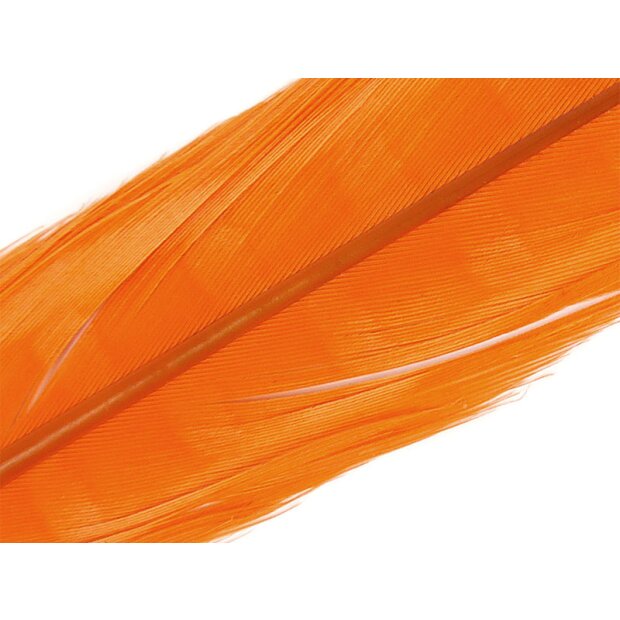 PLUME BLEACHY DE QUEUE DE FAISAN 1° CHOIX hotfly - 1 pcs. - ca. 50 cm - orange
