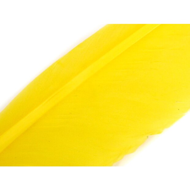 GÄNSEKIELFEDER (GOOSE QUILL FEATHER) hotfly - 1 Stk. - ca. 25 cm - yellow