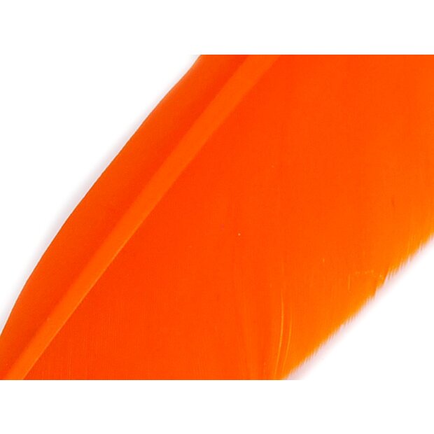 PLUMA QUILL DE GANSO (GOOSE QUILL FEATHER) hotfly - 1 pcas. - ca. 25 cm - orange