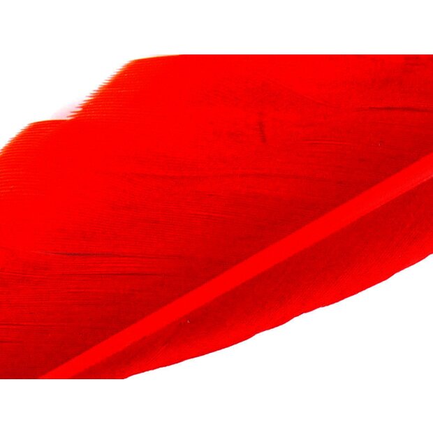 GÄNSEKIELFEDER (GOOSE QUILL FEATHER) hotfly - 1 Stk. - ca. 25 cm - red