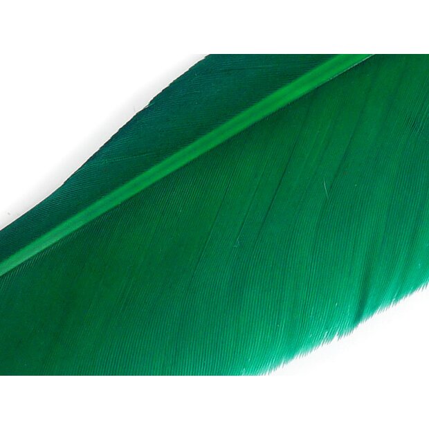 PENNA QUILL DOCA (GOOSE QUILL FEATHER) hotfly - 1 pz. - ca. 25 cm - dark green