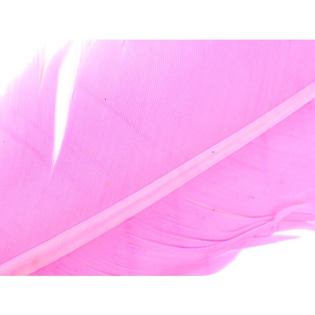 TRUTHAHNFEDER (TURKEY FEATHER) hotfly - 1 Stk. - pink
