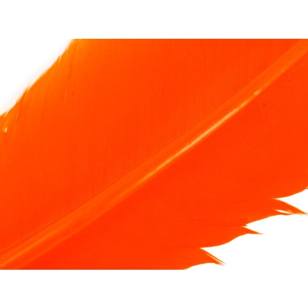 PLUMA DE PAVO (TURKEY FEATHER) hotfly - 1 pcas. - orange