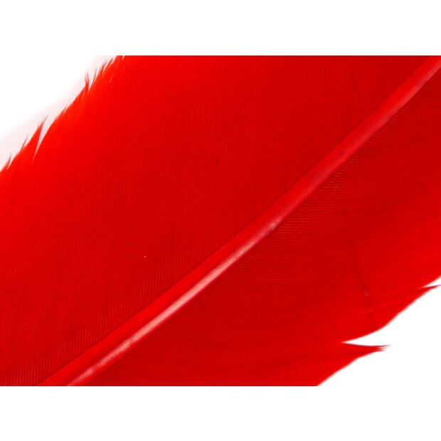 TRUTHAHNFEDER (TURKEY FEATHER) hotfly - 1 Stk. - red