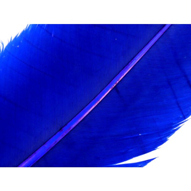 TRUTHAHNFEDER (TURKEY FEATHER) hotfly - 1 Stk. - blue