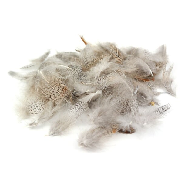 PARTRIDGE ENGLISH FEATHERS hotfly - 3 g - selected natural grey