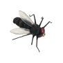 X-true Black Fly