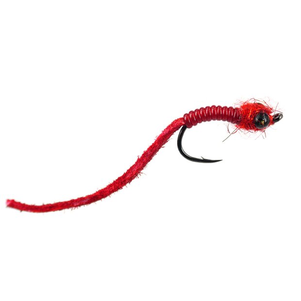 Red Dragonflyworm Variant