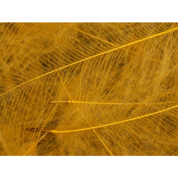 CDC Feathers Cul de Canard SUPER SELECTED MAGNUM hotfly - 1 g - light brown