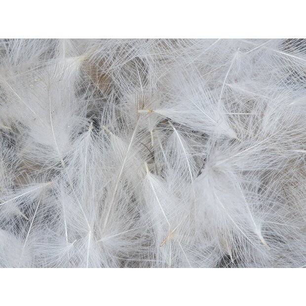 CDC Feathers Cul de Canard SELECTED SMALL & DENSE hotfly - 1 g - white natural