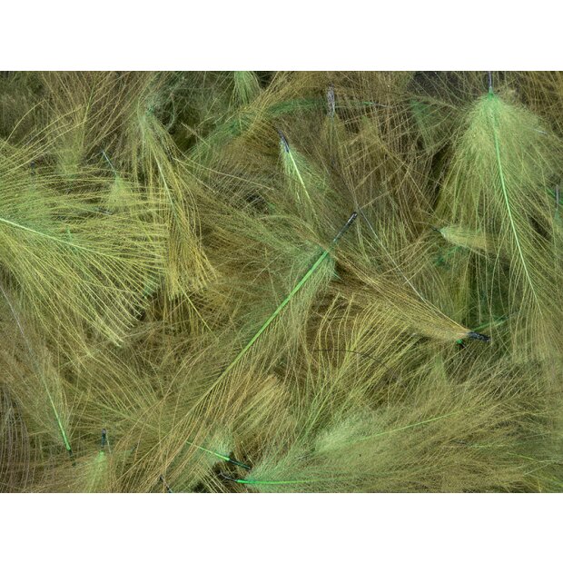 Plumas de CDC Cul de Canard SELECTED SMALL & DENSE hotfly - 1 g - olive
