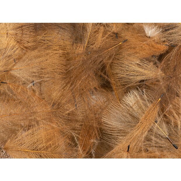 CDC Feathers Cul de Canard SELECTED SMALL & DENSE hotfly - 1 g - brown