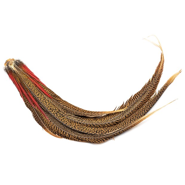 GOLDEN PHEASANT COMPLETE TAIL hotfly