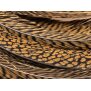 GOLDEN PHEASANT COMPLETE TAIL hotfly
