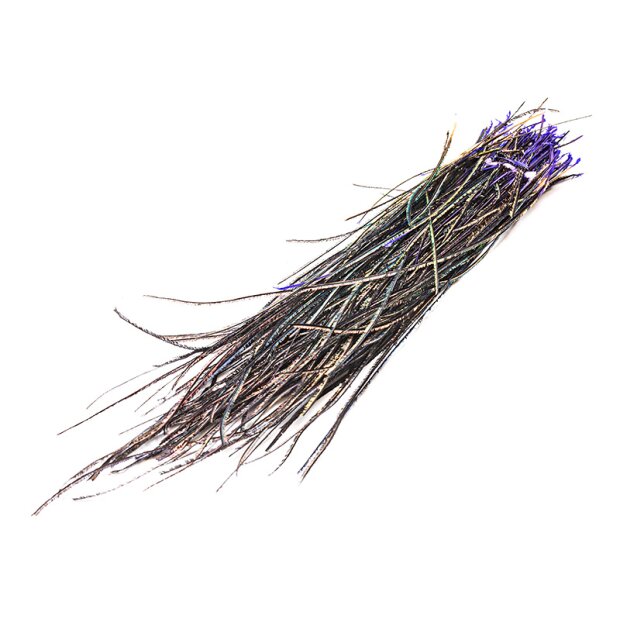 BARBE DI PAVONE hotfly - 1 g - ca. 15 cm - purple