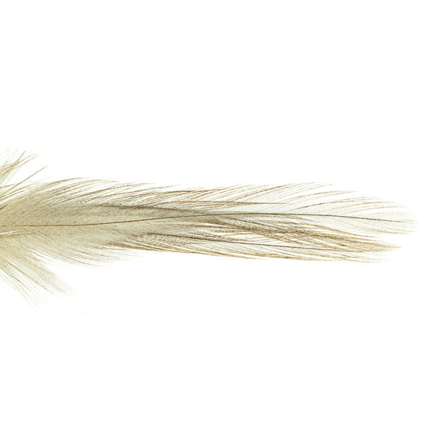 FEATHERS COQ DE LEÒN INDIO grade 2 hotfly - 10 pz. - negrisco grisáceo