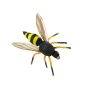 Wasp 12