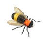 X-true Bumble Bee Orange 8