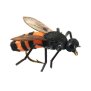 X-true Honey Bee Orange 12